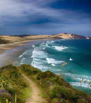 cc攻击免费网页版